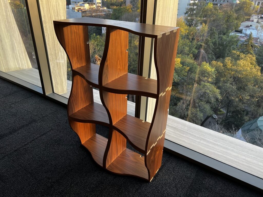 Luna Park Curvilinear Bookcase